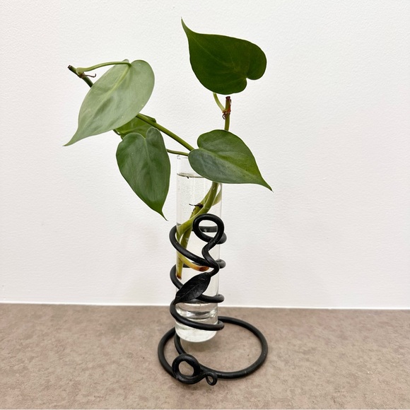 Black Hand Forged Iron Bud Propagation Vase Glass insert Leaf accent Spiral 8”